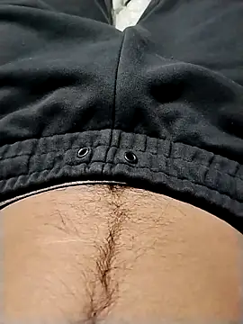 minitranca online show from February 17, 2026, 8:26 pm