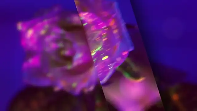 Snapshot of HeyBananas chatting on October 22, 2025, 5:56 pm HeyBananas online show from October 22, 2025, 5:56 pm