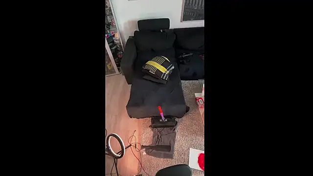 Snapshot of LuggiJack chatting on February 22, 2025, 12:29 pm LuggiJack online show from February 22, 2025, 12:29 pm