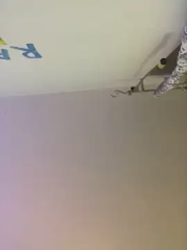 Snapshot of Meliss_Official9 chatting on October 27, 2025, 8:46 pm Meliss Official9 online show from October 27, 2025, 8:46 pm