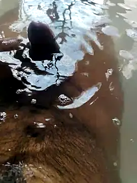 Snapshot of mysterious_guy_kakashi1 chatting on February 22, 2026, 9:41 am mysterious guy kakashi1 online show from February 22, 2026, 9:41 am