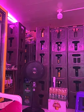 Hot beauty   online show from March 27, 2026, 3:23 am