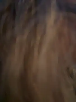 Snapshot of Lombada chatting on November 13, 2025, 4:17 pm Lombada online show from November 13, 2025, 4:17 pm