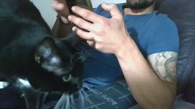 Snapshot of Kevoon991 chatting on November 20, 2025, 8:47 am Kevoon991 online show from November 20, 2025, 8:47 am