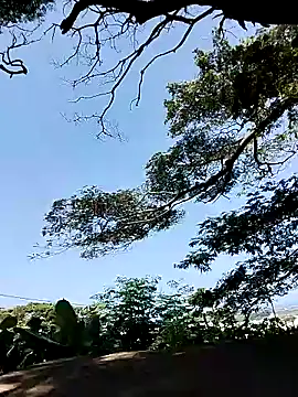 Snapshot of Chocolate_factory_man chatting on January 18, 2025, 11:43 am Chocolate factory man online show from January 18, 2025, 11:43 am