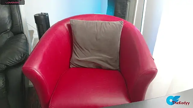 Snapshot of Thekodyy chatting on February 6, 2026, 3:48 pm Thekodyy online show from February 6, 2026, 3:48 pm