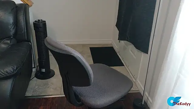 Snapshot of Thekodyy chatting on February 10, 2026, 2:10 pm Thekodyy online show from February 10, 2026, 2:10 pm