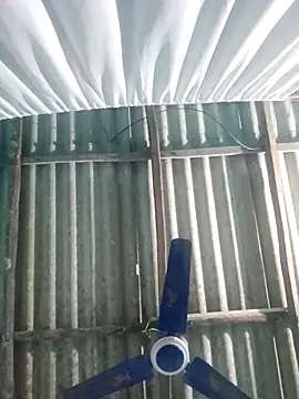 hotbaby 5 online show from November 20, 2025, 2:50 pm