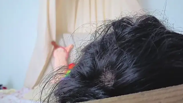 Katiaflex online show from March 2, 2026, 3:41 am