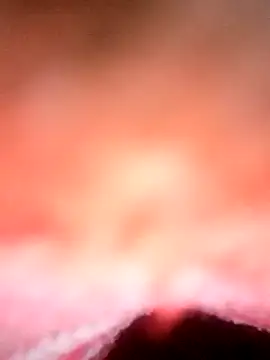 Snapshot of Avantika19 chatting on January 6, 2025, 12:13 pm Avantika19 online show from January 6, 2025, 12:13 pm