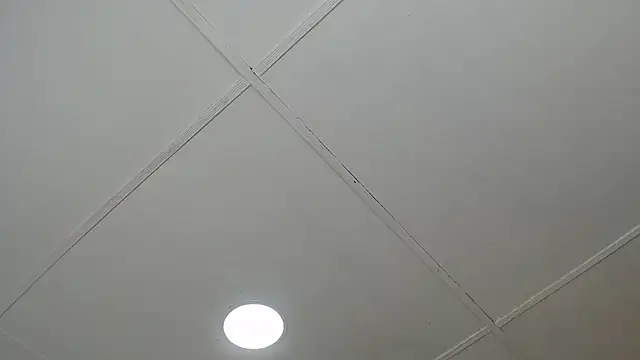 dannaberlin 0 online show from March 8, 2025, 12:20 pm