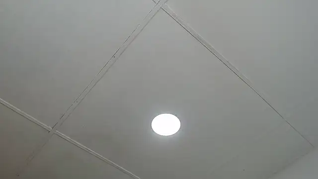 dannaberlin 0 online show from March 13, 2025, 12:46 pm