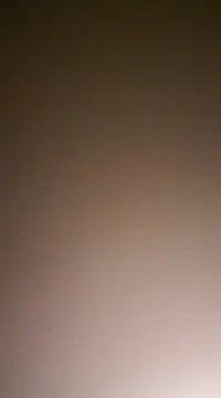 Snapshot of NewKing100 chatting on December 2, 2024, 3:37 am NewKing100 online show from December 2, 2024, 3:37 am