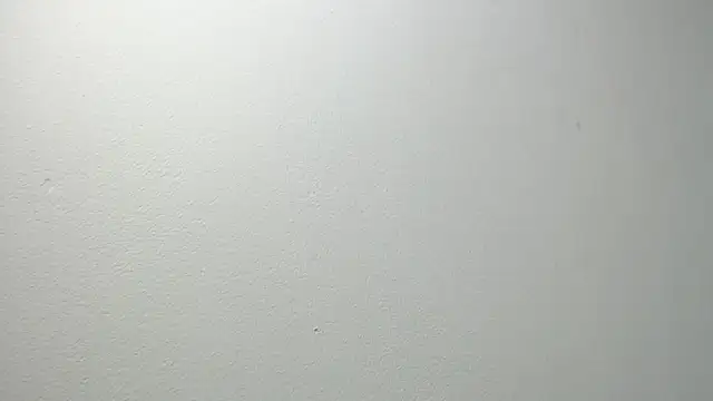 sussy leon online show from February 20, 2025, 12:15 pm