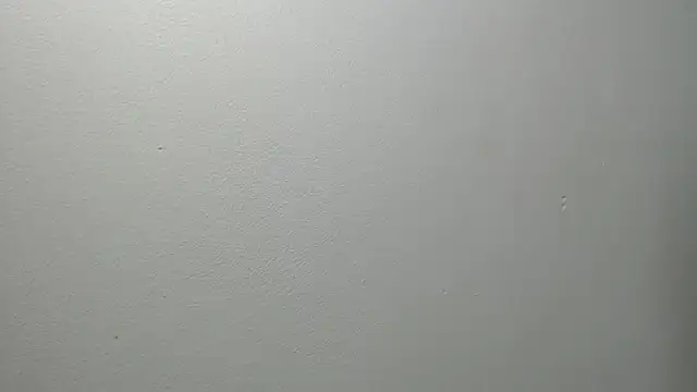 sussy leon online show from February 27, 2025, 12:34 pm