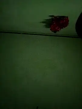 zico895 online show from May 16, 2026, 12:51 am