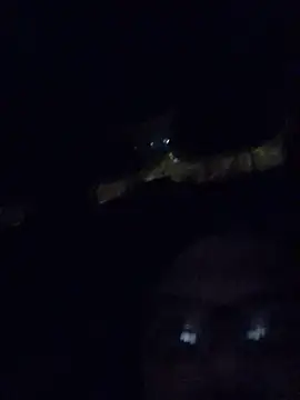 Watson4U online show from December 13, 2024, 6:27 pm