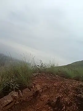 Snapshot of PervertedMature chatting on November 6, 2025, 11:44 am PervertedMature online show from November 6, 2025, 11:44 am