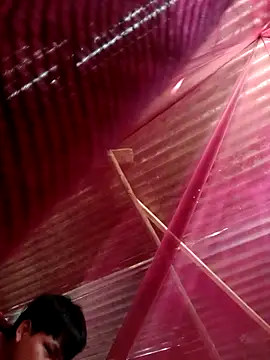 Huebolocko online show from October 31, 2025, 9:05 pm