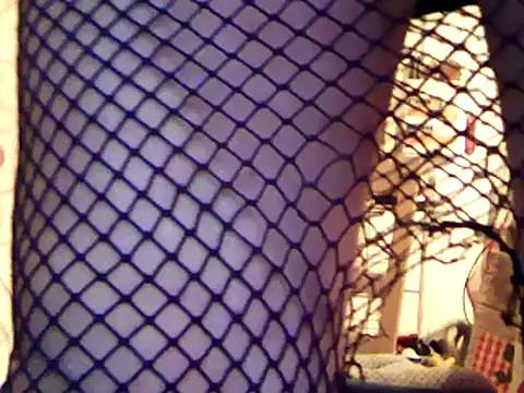 Snapshot of cyril020202 chatting on December 4, 2024, 6:17 pm cyril020202 online show from December 4, 2024, 6:17 pm