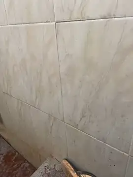 Snapshot of ASIF_F chatting on December 8, 2024, 4:04 am ASIF F online show from December 8, 2024, 4:04 am