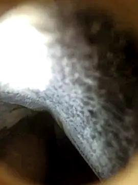 Snapshot of fankiey chatting on October 20, 2025, 3:40 am fankiey online show from October 20, 2025, 3:40 am