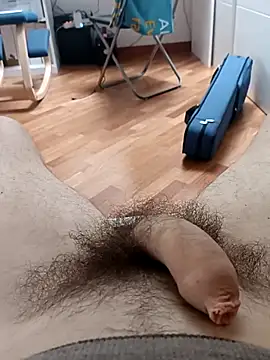 the lion 69 online show from February 11, 2026, 9:14 am