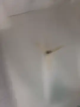 playboy 30 online show from November 16, 2025, 9:04 am