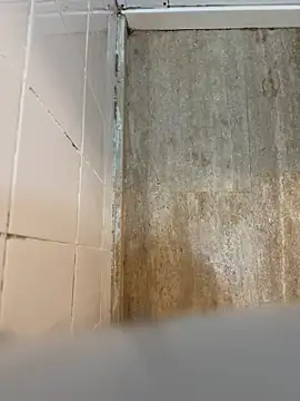 Snapshot of reelciii21 chatting on March 23, 2025, 12:58 am reelciii21 online show from March 23, 2025, 12:58 am