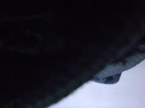 Snapshot of exmilitary chatting on February 15, 2026, 12:58 pm exmilitary online show from February 15, 2026, 12:58 pm