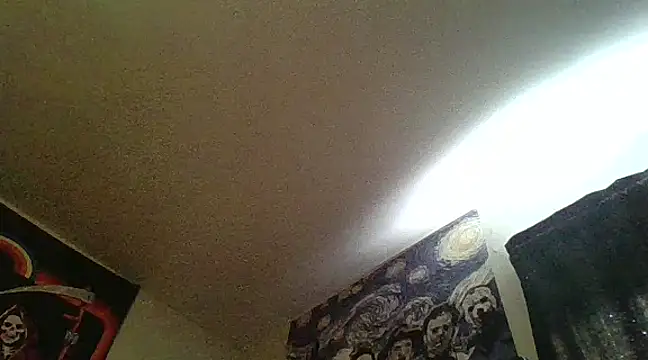 clitstitsandbongrips online show from February 13, 2025, 9:17 pm