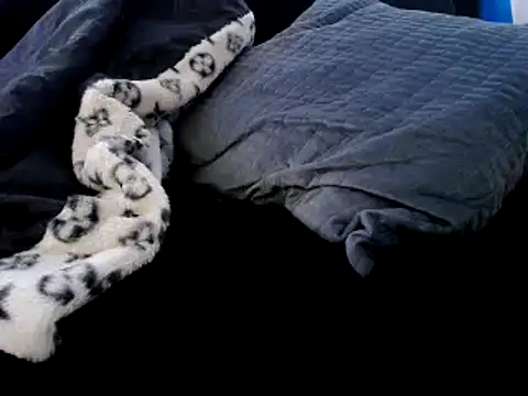 Snapshot of Niquitasparkles chatting on December 23, 2024, 12:35 am Niquitasparkles online show from December 23, 2024, 12:35 am