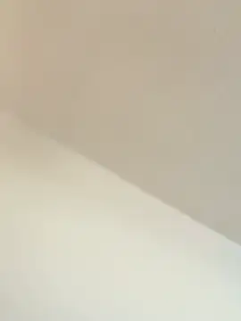 TransboyJay online show from February 13, 2026, 5:31 pm