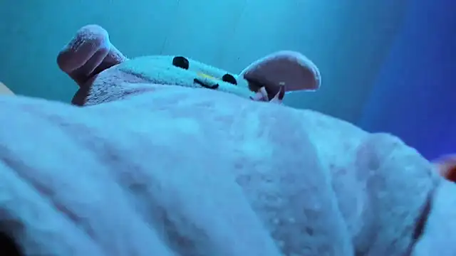 Lily stone04 online show from December 16, 2025, 8:08 am