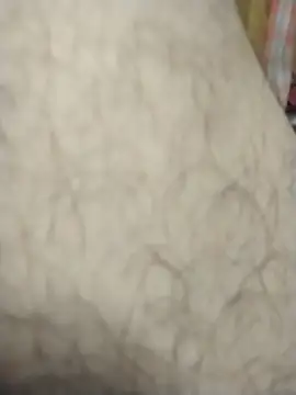 Opsquad12345 online show from October 11, 2025, 2:26 pm