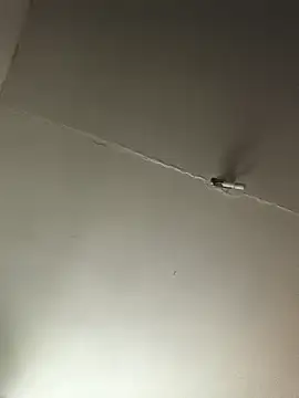 Snapshot of Ozomitro chatting on October 25, 2025, 2:35 pm Ozomitro online show from October 25, 2025, 2:35 pm