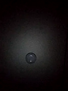 Snapshot of SAITO-YASUYUKI7 chatting on March 4, 2025, 11:51 am SAITO-YASUYUKI7 online show from March 4, 2025, 11:51 am