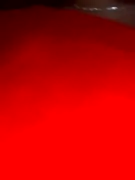 sara pineros online show from December 28, 2024, 12:04 am