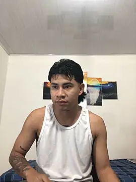 Snapshot of logannth chatting on April 3, 2026, 3:15 am logannth online show from April 3, 2026, 3:15 am