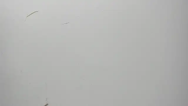 Karljensen33 online show from December 27, 2024, 5:42 am