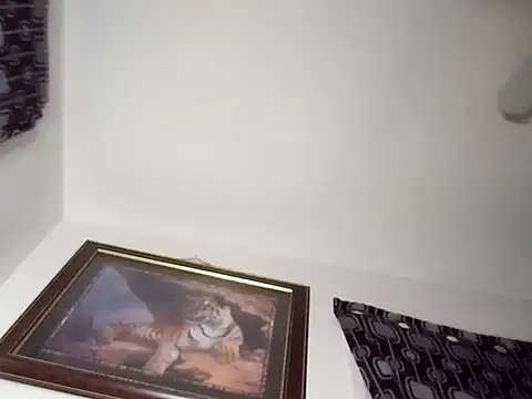 gemini12838 online show from January 13, 2025, 2:39 am