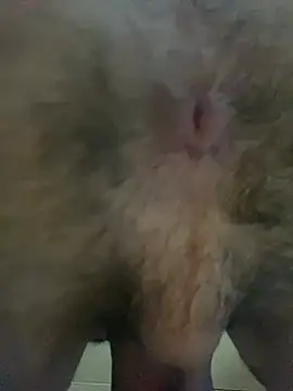 hornyboy739 online show from March 25, 2026, 11:44 pm