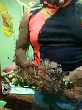 ShelfyOfferer online show from January 31, 2026, 11:14 pm