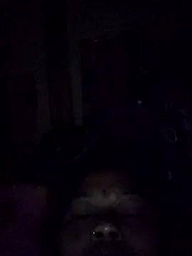 Bangarupapa online show from February 26, 2026, 12:31 am