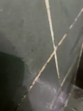 gzn01 online show from October 28, 2025, 4:49 am