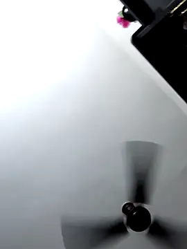 Tamilrojanew online show from March 12, 2026, 9:48 am