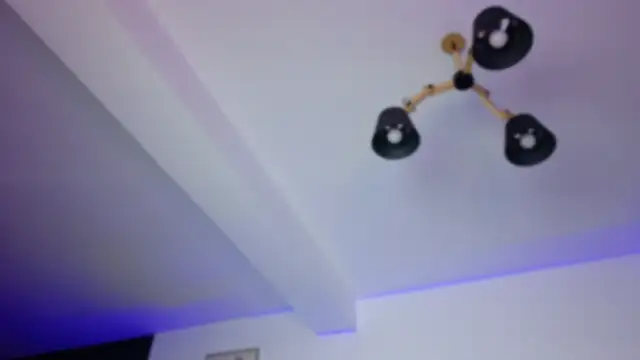 Lorennameliyy online show from November 8, 2025, 7:56 pm