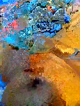 MackJos online show from December 21, 2025, 11:28 am