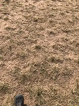 Snapshot of Black_mamba_madingo chatting on December 10, 2024, 3:01 pm Black mamba madingo online show from December 10, 2024, 3:01 pm