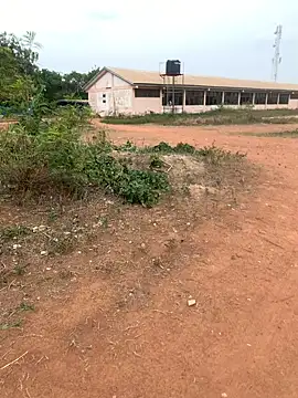 Snapshot of Black_mamba_madingo chatting on February 22, 2025, 3:25 pm Black mamba madingo online show from February 22, 2025, 3:25 pm